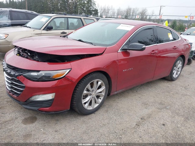 2019 CHEVROLET MALIBU 1G1ZG5ST0KF220268 Photo 1