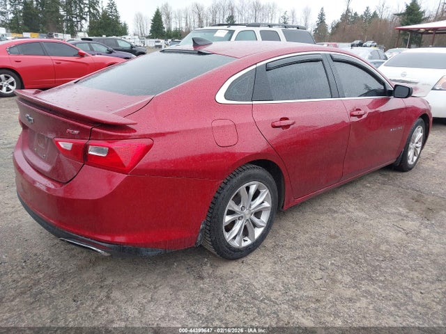 2019 CHEVROLET MALIBU 1G1ZG5ST0KF220268 Photo 3