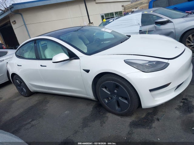 Tesla Model 3 Standard Range Plus Rear-wheel Drive 2021 5YJ3E1EA5MF066038 Image 13