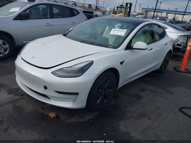 2021 TESLA MODEL 3 5YJ3E1EA5MF066038 Photo 1