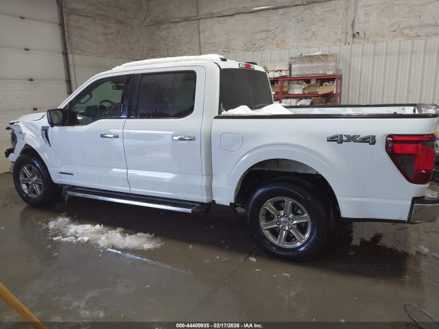 Ford F-150 Xlt 2024 1FTFW3LD3RFA62706 Image 15