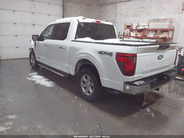 Ford F-150 Xlt 2024 1FTFW3LD3RFA62706 Image 3
