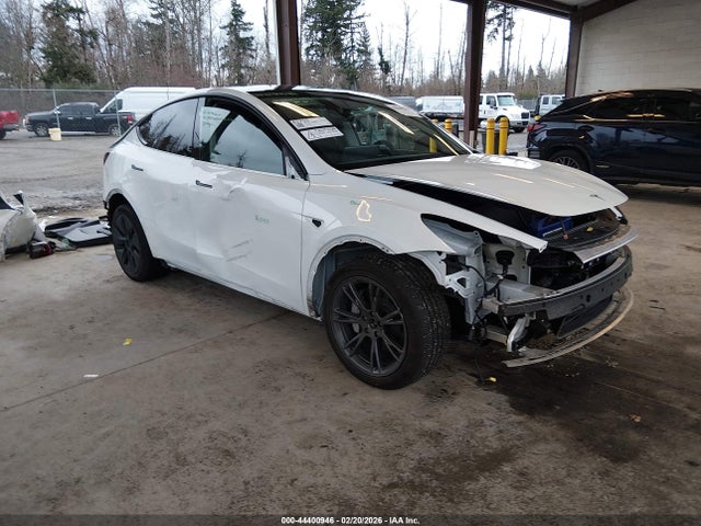 2024 TESLA MODEL Y 7SAYGDEE6RF155504 Photo 0