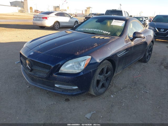 2015 MERCEDES-BENZ SLK 250 WDDPK4HA7FF096864 Photo 1