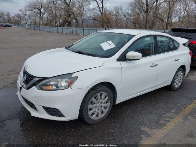 3N1AB7AP5HY341563 Nissan SENTRA SV