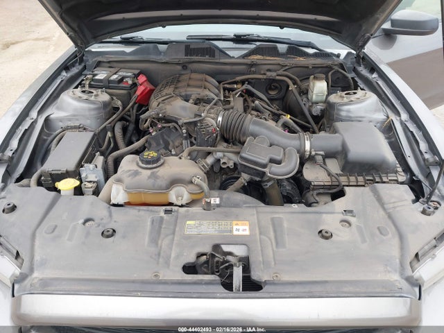 1ZVBP8AM4E5250482 Ford Mustang V6
