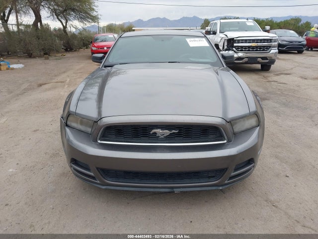 1ZVBP8AM4E5250482 Ford Mustang V6