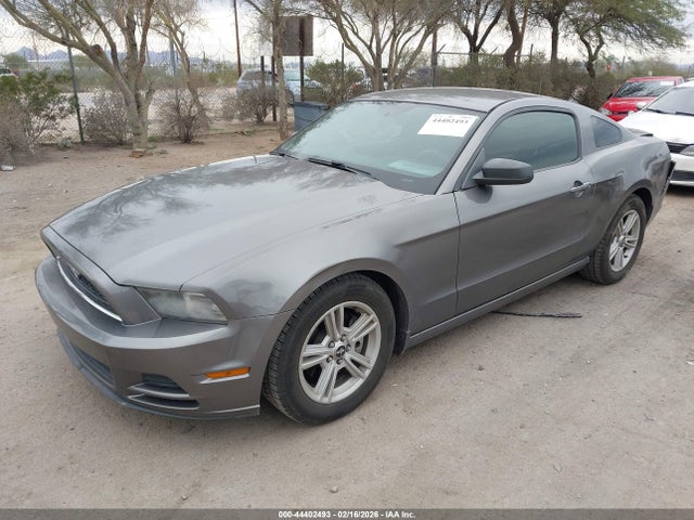 1ZVBP8AM4E5250482 Ford Mustang V6