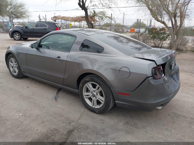 1ZVBP8AM4E5250482 Ford Mustang V6