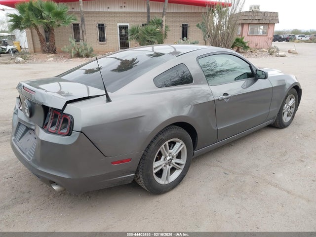 1ZVBP8AM4E5250482 Ford Mustang V6