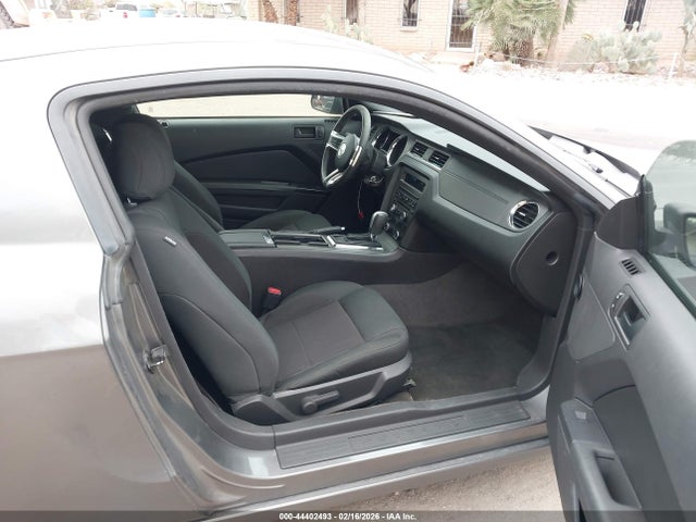 1ZVBP8AM4E5250482 Ford Mustang V6