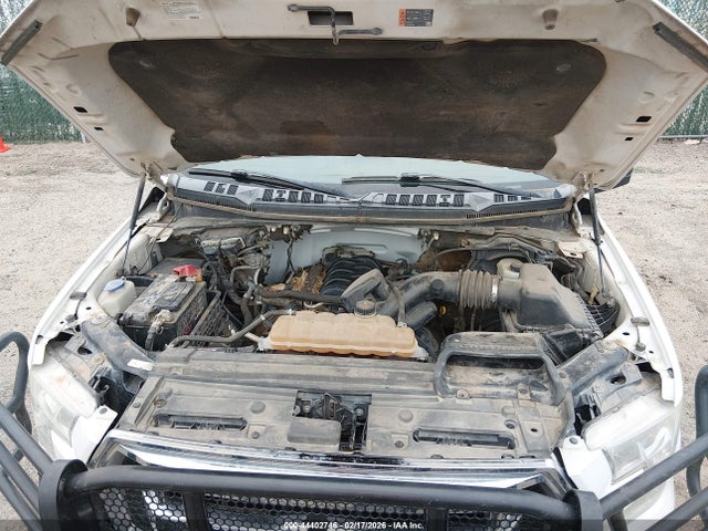 Ford F-150 Xlt 2015 1FTFW1EF4FKE31191 Image 10