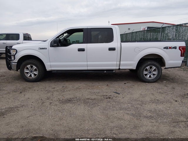 Ford F-150 Xlt 2015 1FTFW1EF4FKE31191 Image 14