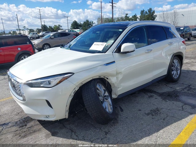 3PCAJ5BA1MF111037 Infiniti Qx50 Luxe