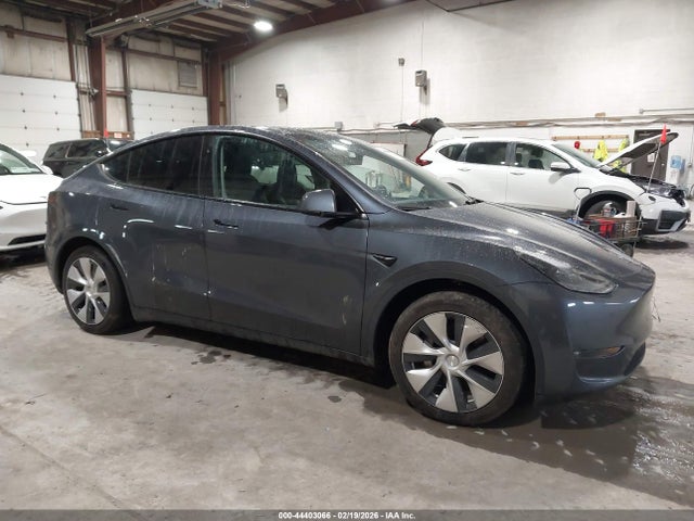 2023 TESLA MODEL Y 7SAYGDEDXPF942721 Photo 0