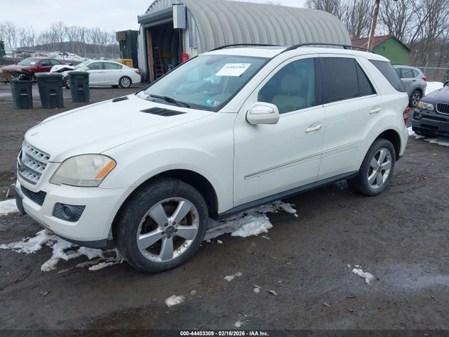 2010 MERCEDES-BENZ ML 350 4JGBB8GB8AA596622 Photo 1