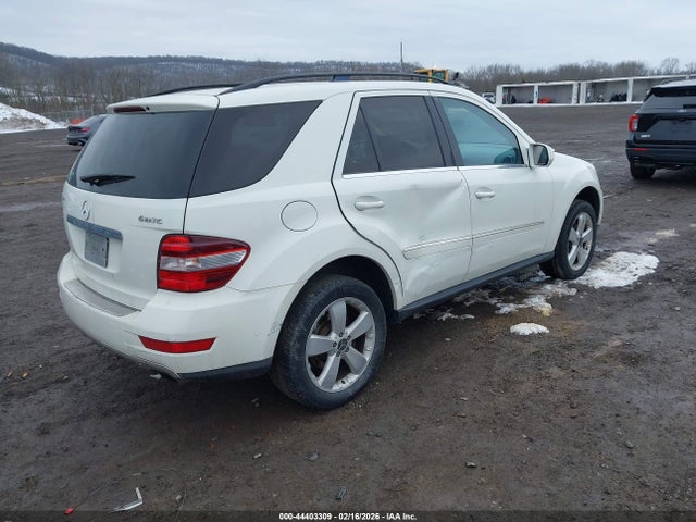 2010 MERCEDES-BENZ ML 350 4JGBB8GB8AA596622 Photo 3