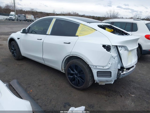 2025 TESLA MODEL Y 7SAYGDEE8SA351849 Photo 2