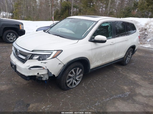 5FNYF6H49KB042215 Honda Pilot Ex-l