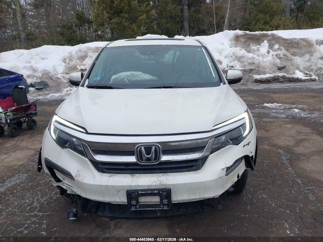 5FNYF6H49KB042215 Honda Pilot Ex-l