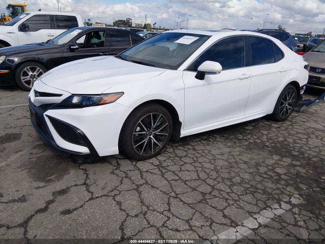 4T1T11AK8MU594282 Toyota CAMRY SE