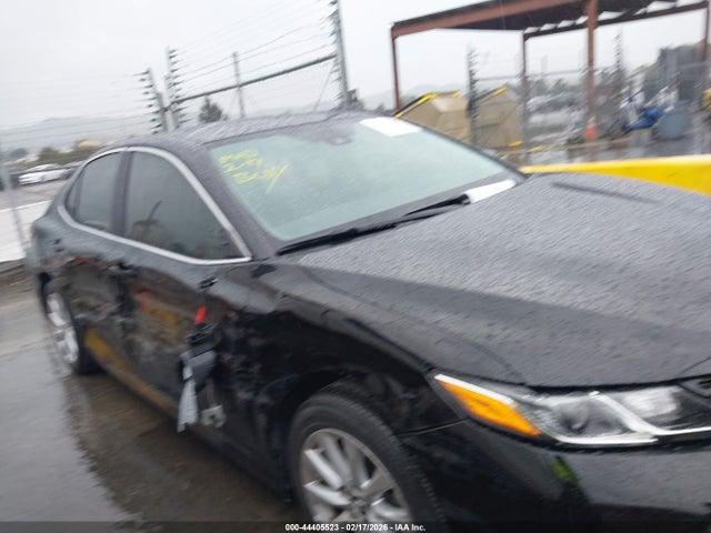 4T1B11HKXKU797303 Toyota CAMRY LE