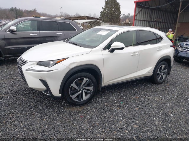 JTJBJRBZ4K2101083 Lexus NX 300H