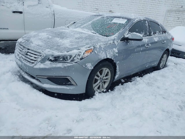 5NPE24AF7HH567461 Hyundai Sonata