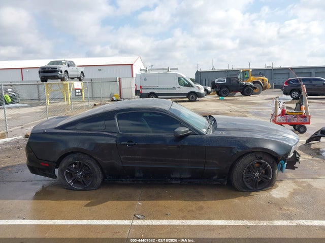 1ZVBP8AM7E5299269 Ford Mustang V6
