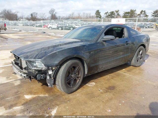 1ZVBP8AM7E5299269 Ford Mustang V6