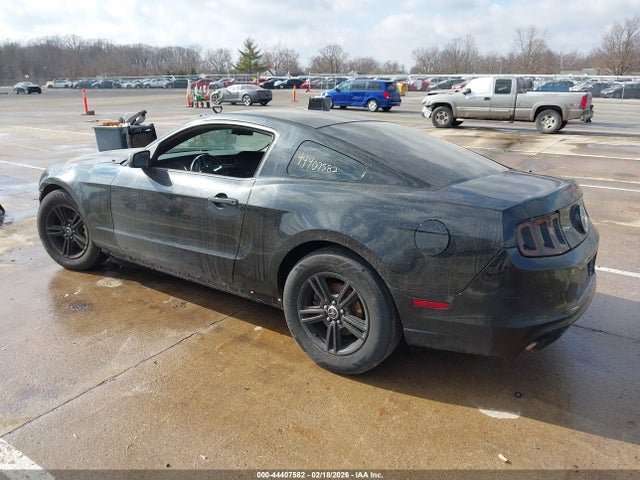 1ZVBP8AM7E5299269 Ford Mustang V6