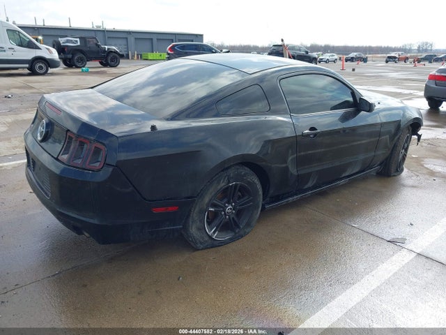 1ZVBP8AM7E5299269 Ford Mustang V6