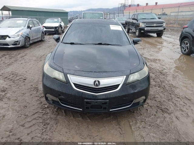 44409083 :رقم المزاد ، 19UUA8F26DA011429 vin ، 2013 Acura Tl 3.5 مزاد بيع