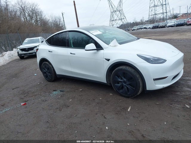 2024 TESLA MODEL Y 7SAYGDEE2RF197426 Photo 0