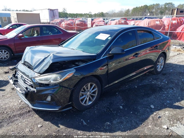 5NPE24AF8JH681152 Hyundai SONATA SE