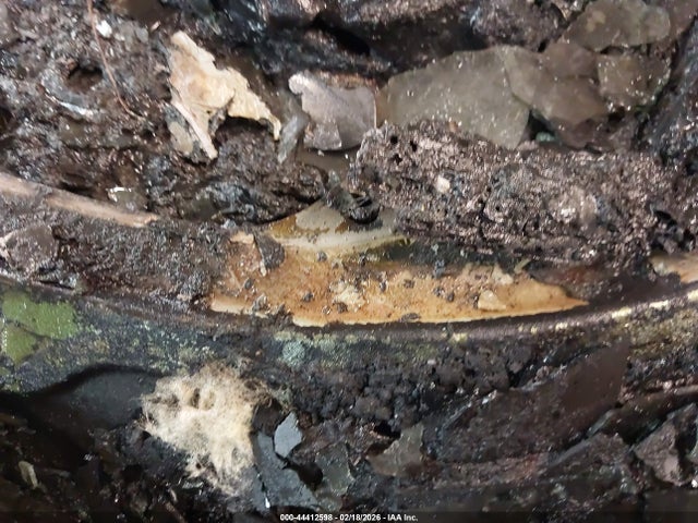 2011 MAZDA MX-5 MIATA JM1NC2PF1B0216803 Photo 8