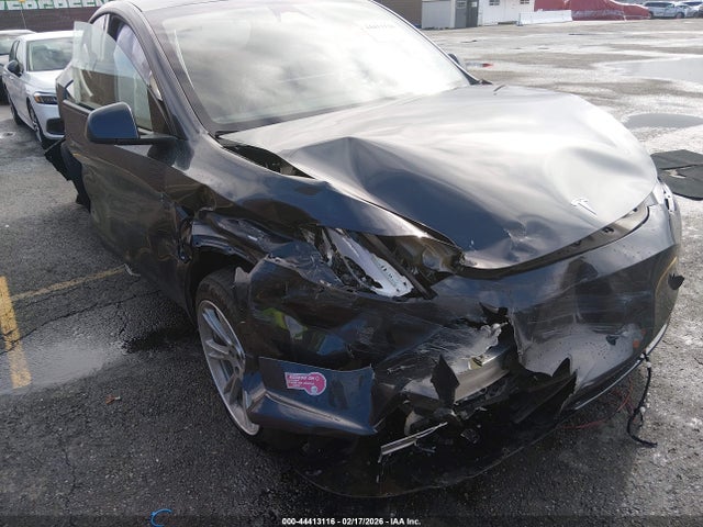 2024 TESLA MODEL Y 7SAYGDEE4RF064294 Photo 0