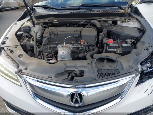 19UUB1F37GA007343 Acura TLX