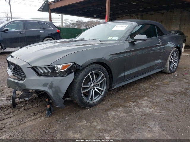 2015 FORD MUSTANG 1FATP8UH5F5346800 Photo 5
