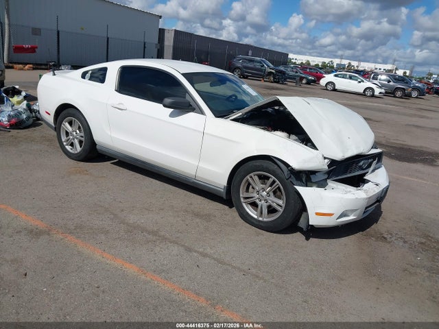2010 FORD MUSTANG 1ZVBP8AN3A5143555