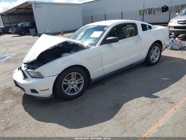 2010 FORD MUSTANG 1ZVBP8AN3A5143555 Photo 1