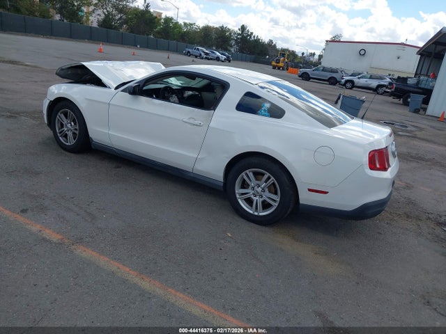 2010 FORD MUSTANG 1ZVBP8AN3A5143555 Photo 2