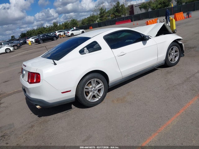 2010 FORD MUSTANG 1ZVBP8AN3A5143555 Photo 3