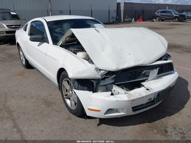 2010 FORD MUSTANG 1ZVBP8AN3A5143555 Photo 5