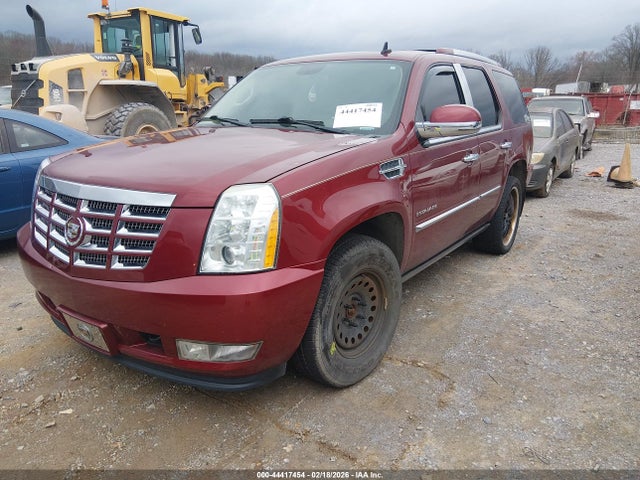 2011 CADILLAC ESCALADE 1GYS4CEF6BR313767 Photo 1