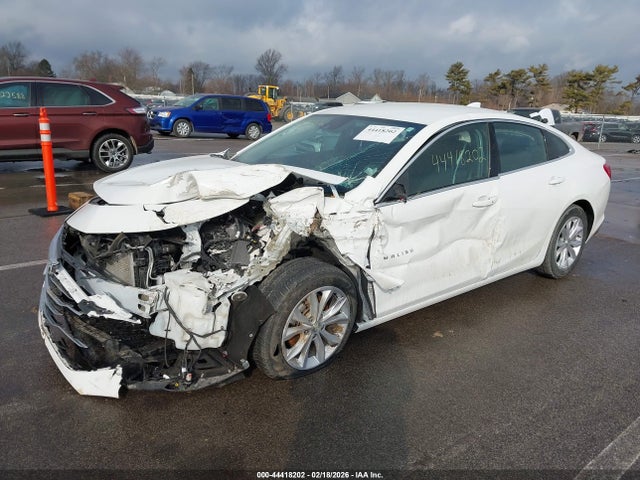 1G1ZD5STXPF116466 Chevrolet Malibu Fwd 1lt