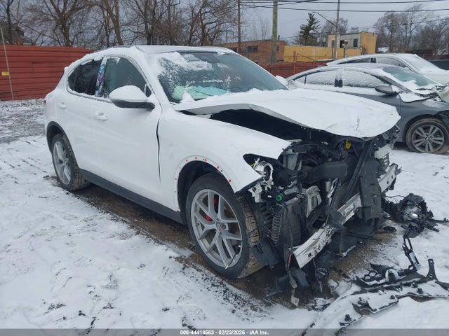 2019 ALFA ROMEO STELVIO ZASPAKBN2K7C30348