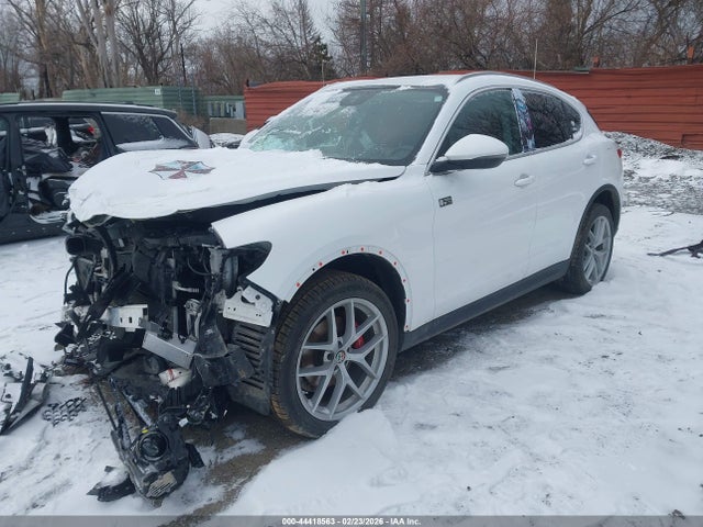 2019 ALFA ROMEO STELVIO ZASPAKBN2K7C30348 Photo 1