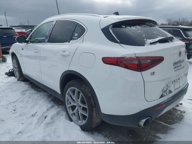 2019 ALFA ROMEO STELVIO ZASPAKBN2K7C30348 Photo 2