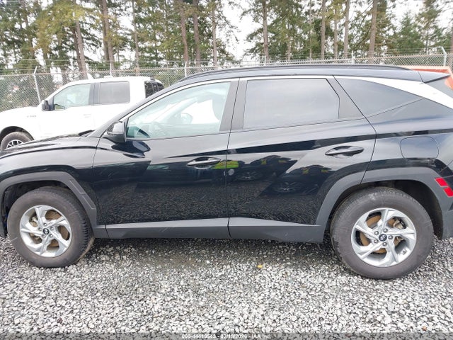 Hyundai TUCSON SEL 2023 5NMJBCAE7PH263591 Image 15